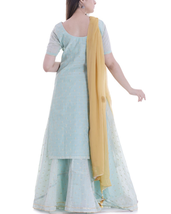pista colour kurta ladies