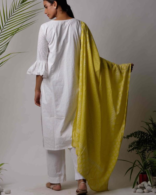 Kata cotton dupatta 1