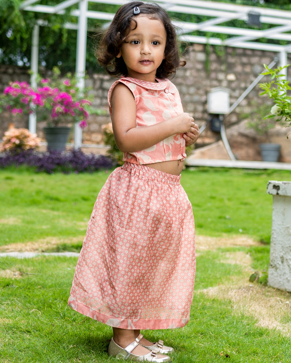 Salmon pink chanderi printed crop top and skirt - Set of Two 2