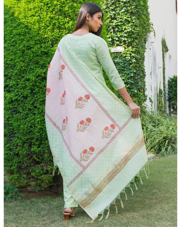 Light green embroidered kurta and pants with printed dupatta- Set Of Three 1