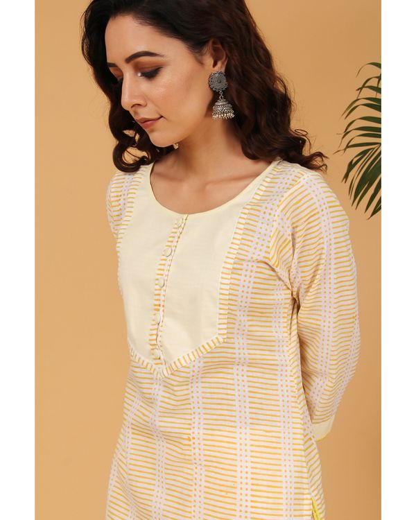Light yellow striped yoke kurta and pants - Set Of Two 3