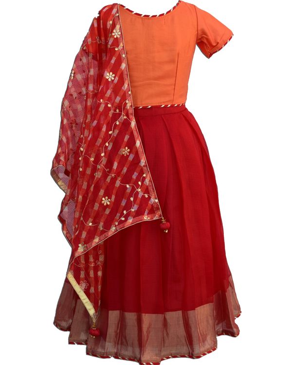 Orange crop top and red pleated lehenga with mothra dupatta - Set Of Three 1