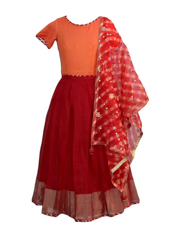 Orange crop top and red pleated lehenga with mothra dupatta - Set Of Three 2