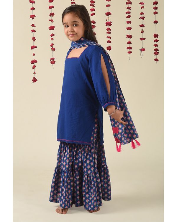 Blue embroidered kurta with lotus printed sharara and dupatta - set of three 2