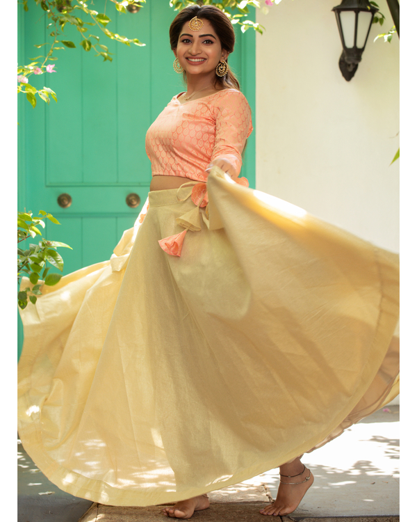 Peach crop top with golden skirt - set of two 3