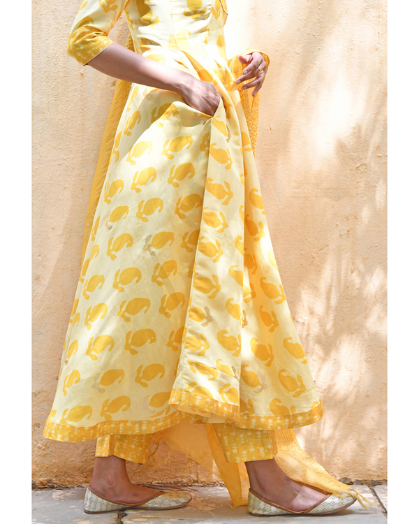 Pastel yellow kairi printed kurta set - set of three 1