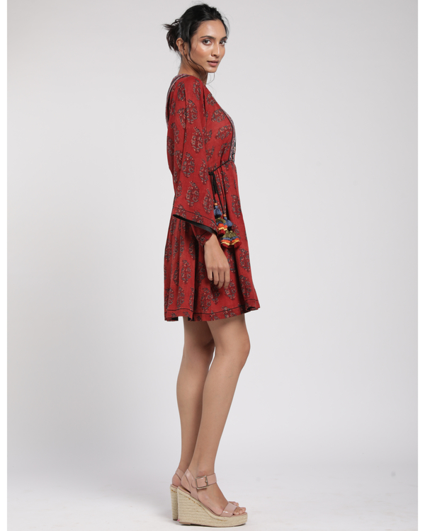 Red mulmul mini dress 2