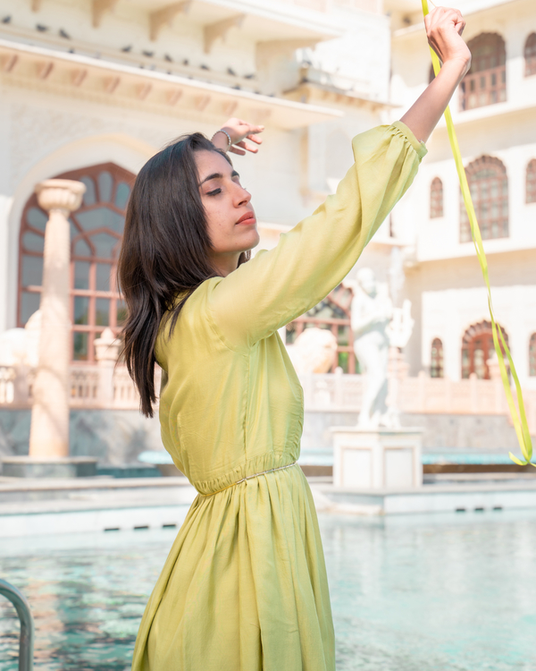 Green meadow dress 3