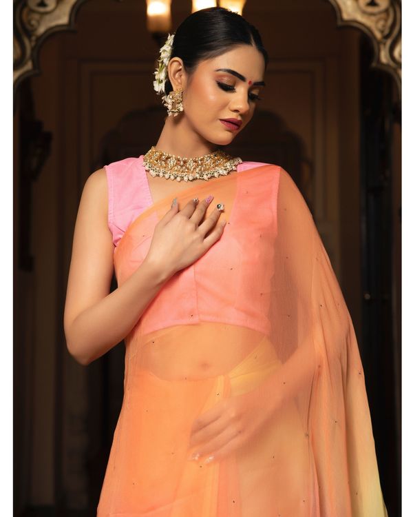 Multicolour mukaish work pure chiffon saree 3