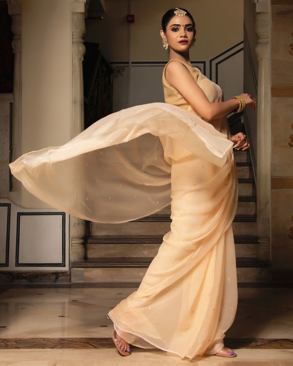 Beige mirror work pure chiffon saree 2