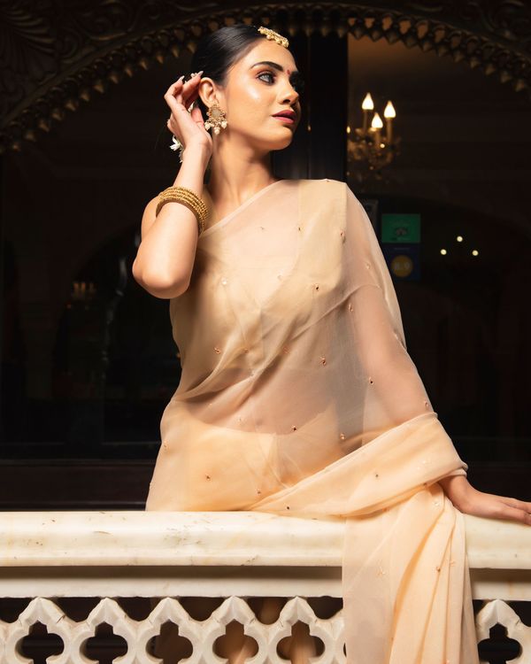 Beige mirror work pure chiffon saree 3