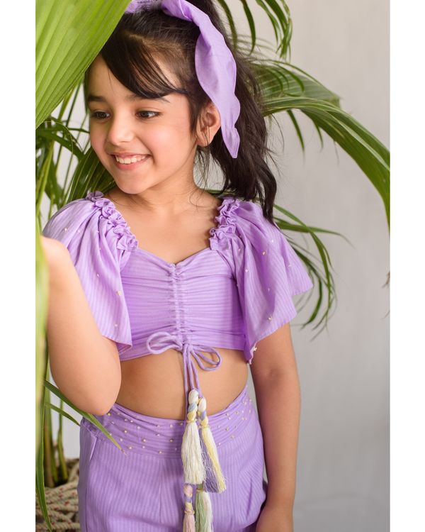 Purple strips embroidered crop top with pant - set of two 3