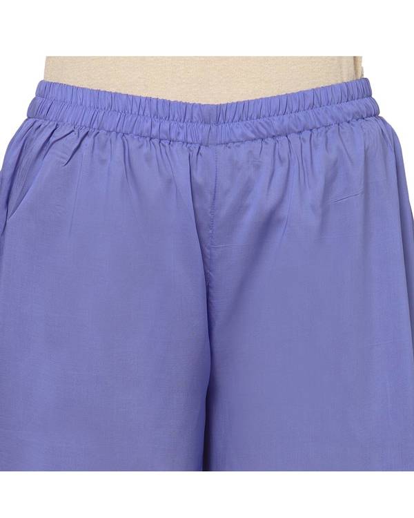 Blue embroidered palazzo 2